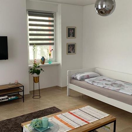 Grenznahe Ferienwohnung Mit 4 Schlafzimmern Grenzach-Wyhlen Bagian luar foto