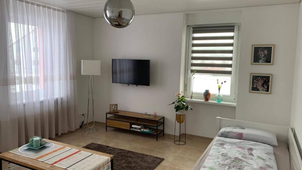 Grenznahe Ferienwohnung Mit 4 Schlafzimmern Grenzach-Wyhlen Bagian luar foto